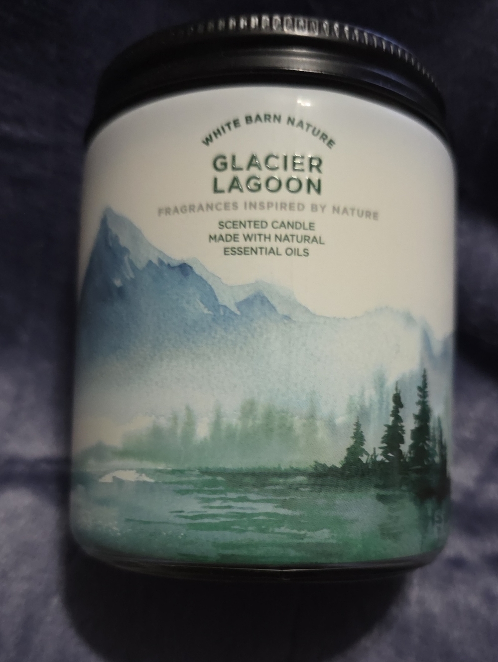 Glacier Lagoon BBW Single Wick Candle NEW